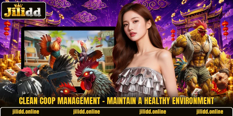 Clean Coop Management - Maintain A Healthy Environment