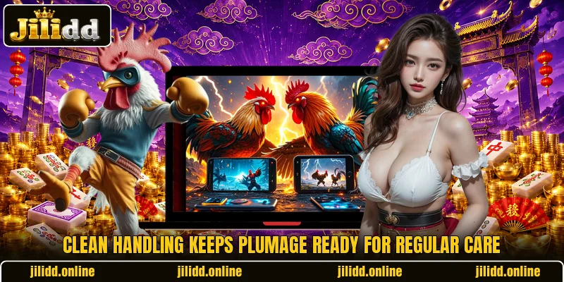 Clean handling keeps plumage ready for regular care