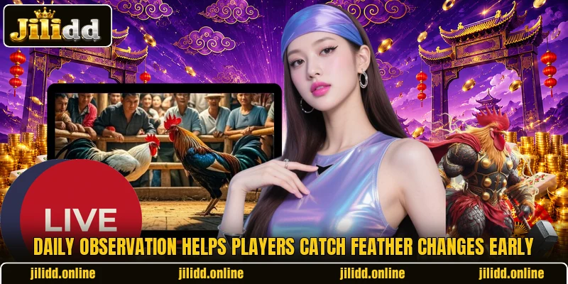 Daily observation helps players catch feather changes early