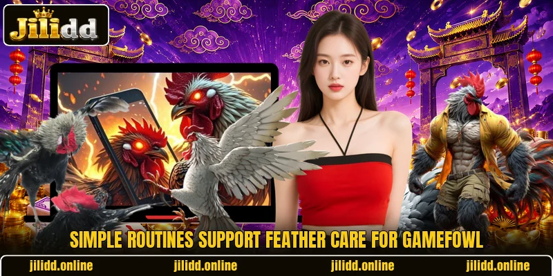 Simple routines support Feather care for gamefowl