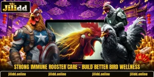 Strong Immune Rooster Care - Build Better Bird Wellness